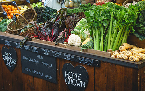 Farm Shop